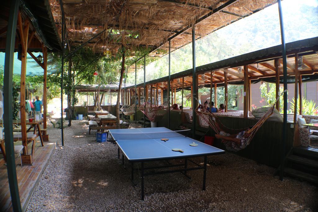 Olympos Zeytin Acomodação com café da manhã Exterior foto