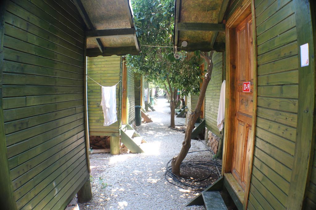 Olympos Zeytin Acomodação com café da manhã Exterior foto