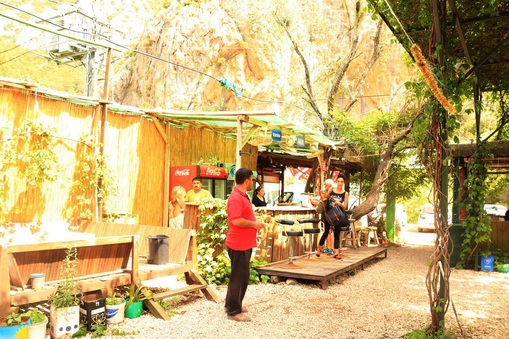 Olympos Zeytin Acomodação com café da manhã Exterior foto