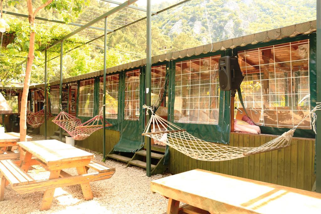 Olympos Zeytin Acomodação com café da manhã Exterior foto