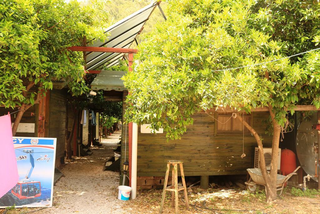 Olympos Zeytin Acomodação com café da manhã Exterior foto